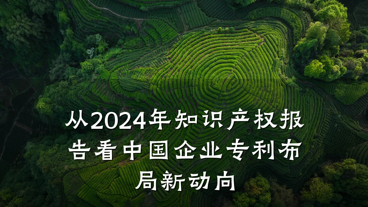 从2024年知识产权报告看中国企业专利布局新动向