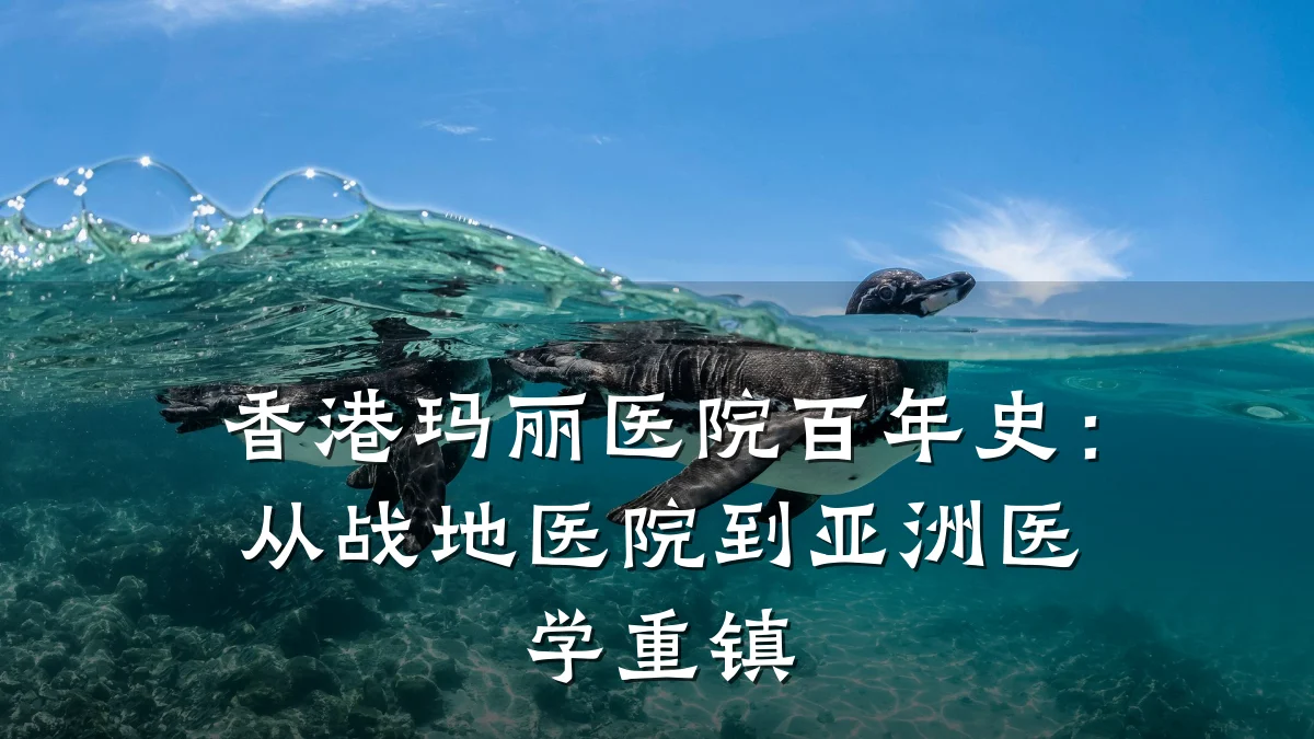 香港玛丽医院百年史：从战地医院到亚洲医学重镇