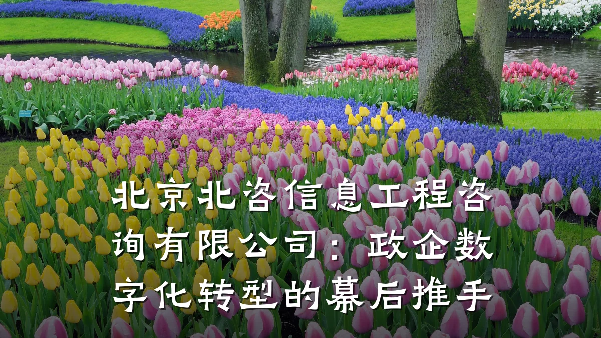 北京北咨信息工程咨询有限公司：政企数字化转型的幕后推手