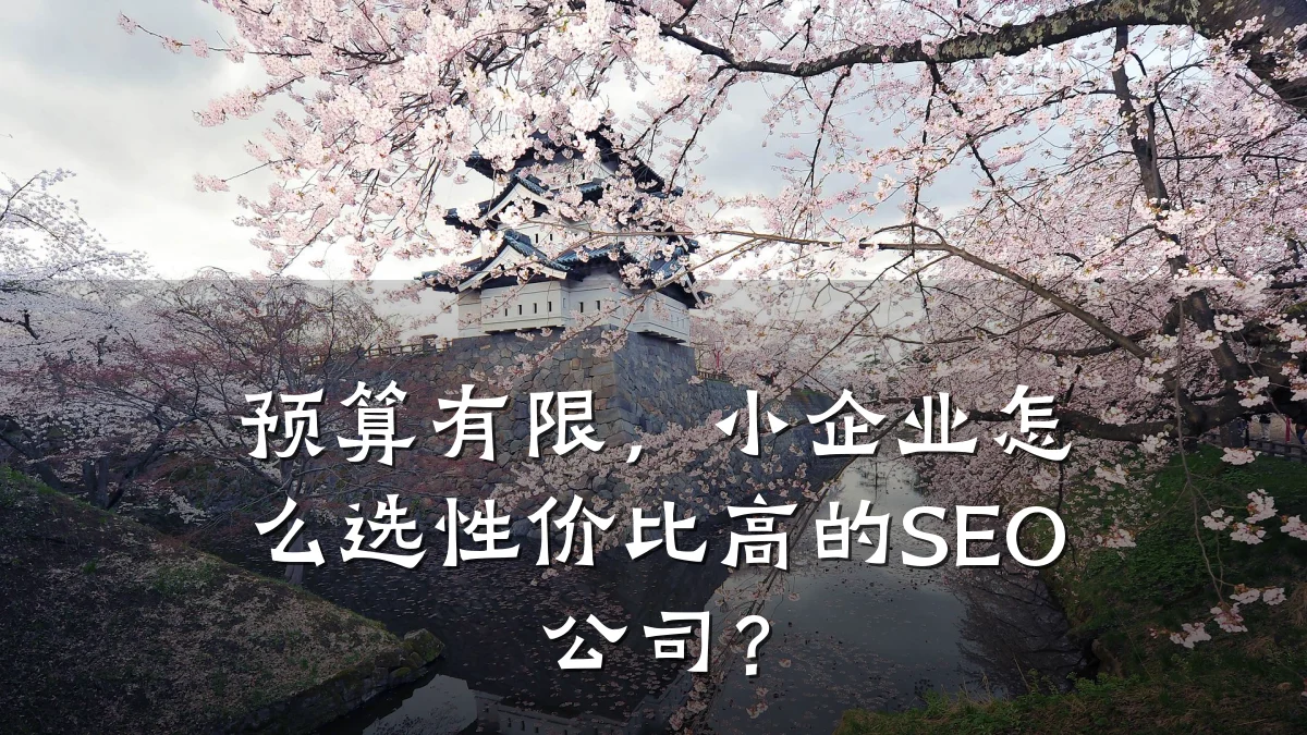 预算有限,小企业怎么选性价比高的SEO公司?