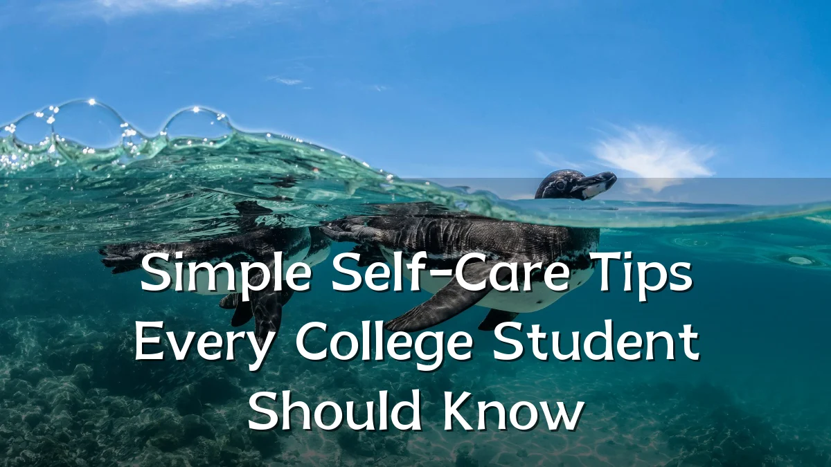 Simple Self-Care Tips Every College Student Should Know