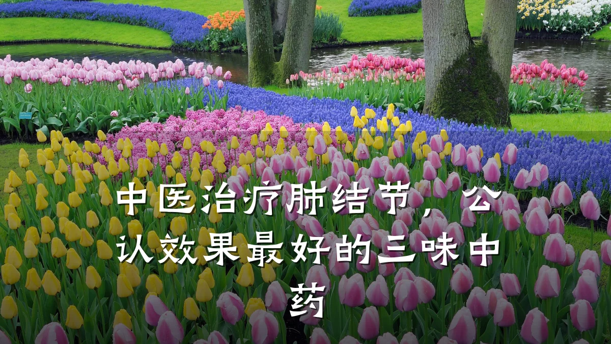 中医治疗肺结节,公认效果最好的三味中药