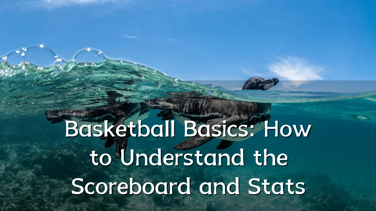 Basketball Basics: How to Understand the Scoreboard and Stats