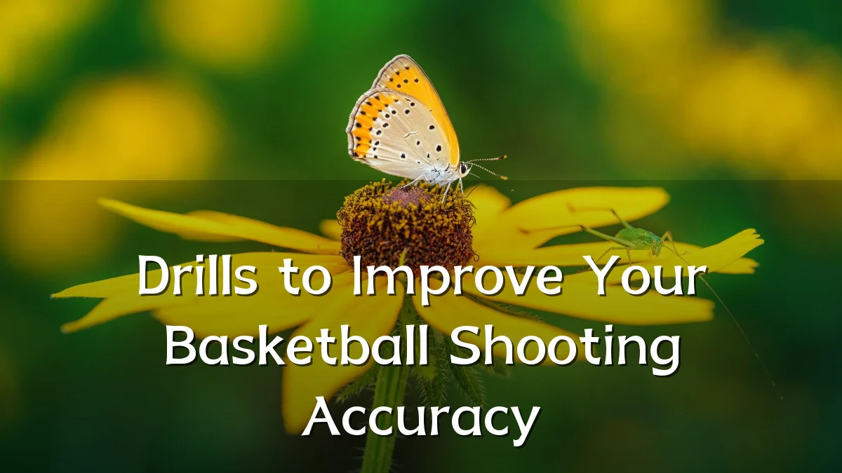 Drills to Improve Your Basketball Shooting Accuracy