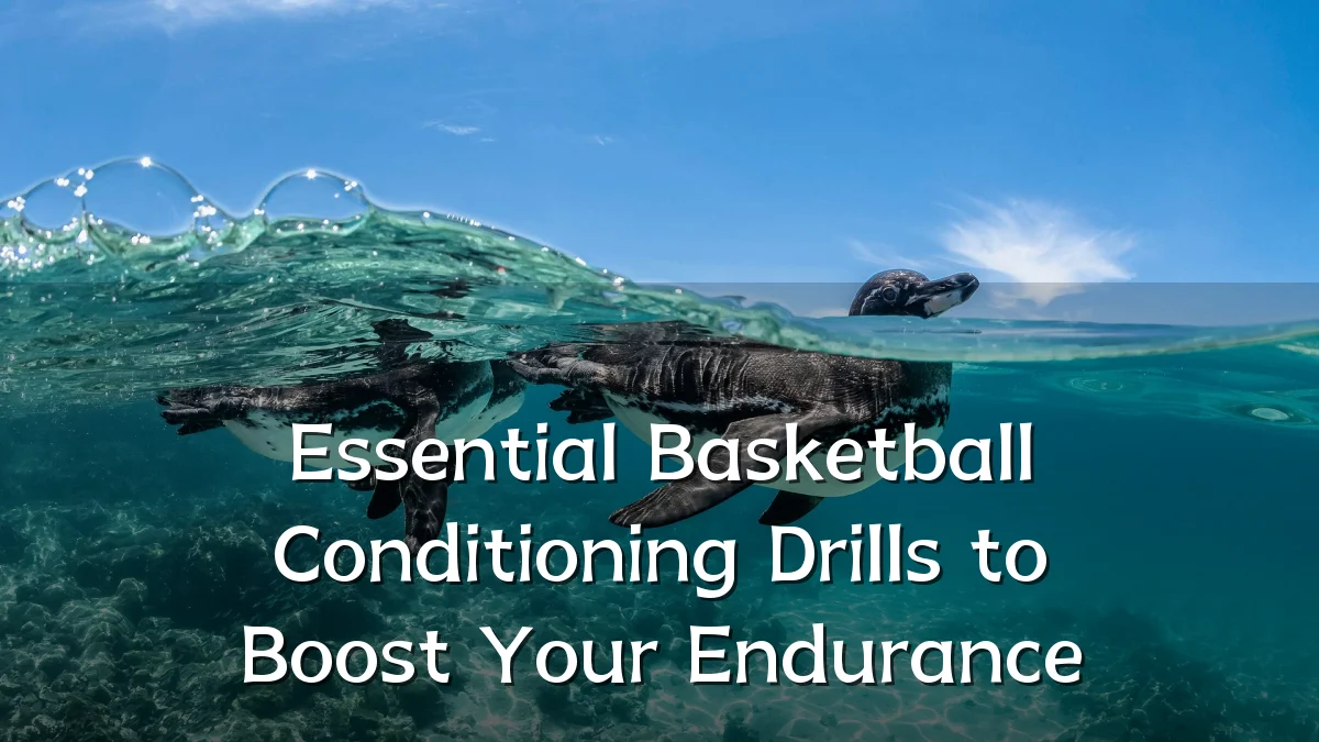 Essential Basketball Conditioning Drills to Boost Your Endurance