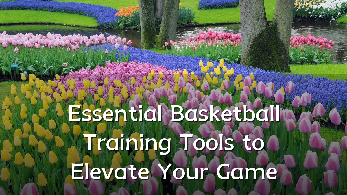 Essential Basketball Training Tools to Elevate Your Game