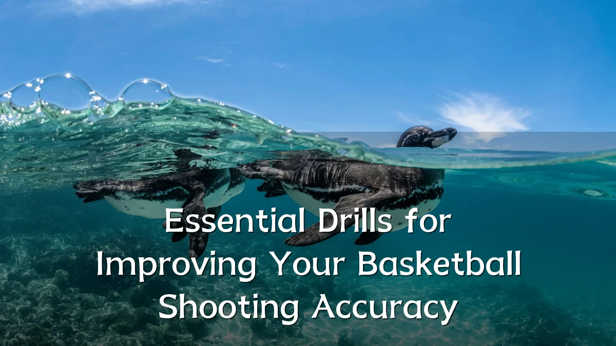 Essential Drills for Improving Your Basketball Shooting Accuracy