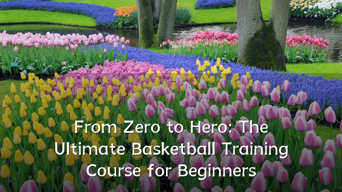 From Zero to Hero: The Ultimate Basketball Training Course for Beginners