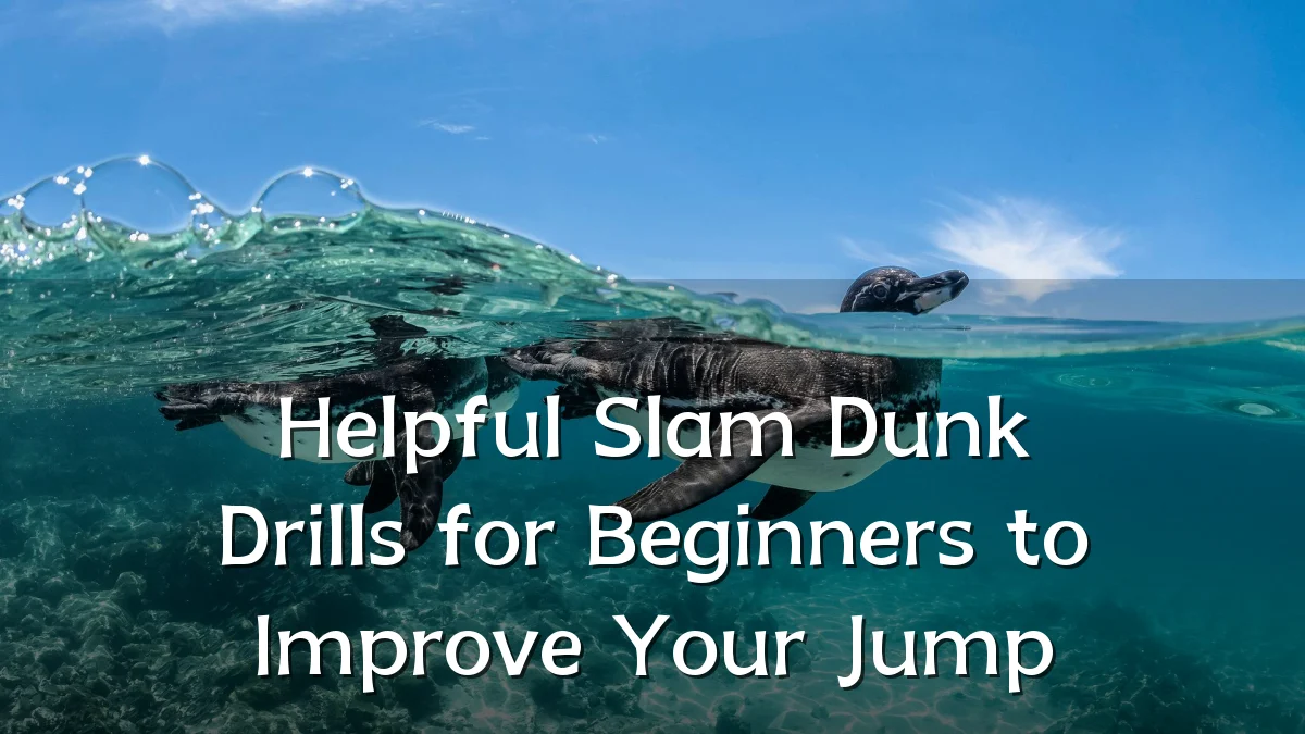 Helpful Slam Dunk Drills for Beginners to Improve Your Jump