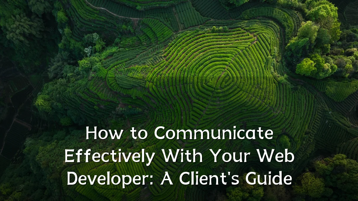 How to Communicate Effectively With Your Web Developer: A Client's Guide