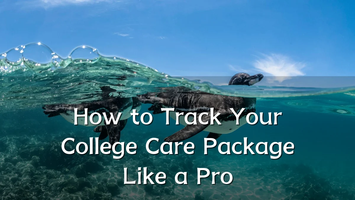 How to Track Your College Care Package Like a Pro