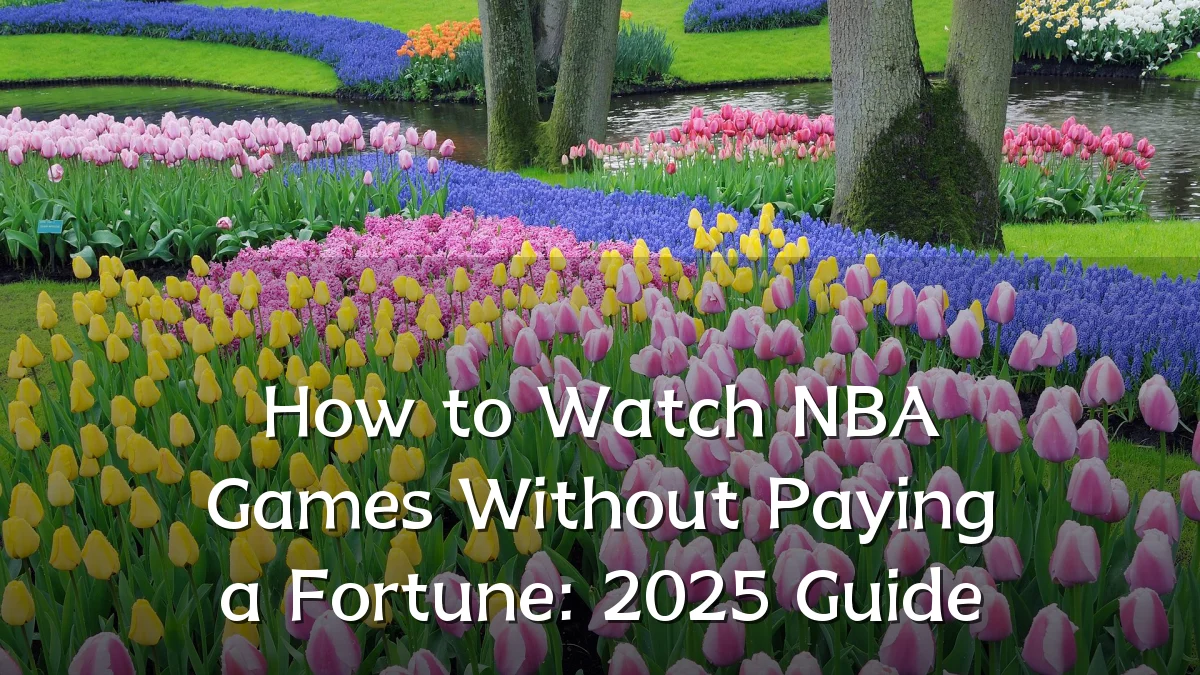 How to Watch NBA Games Without Paying a Fortune: 2025 Guide