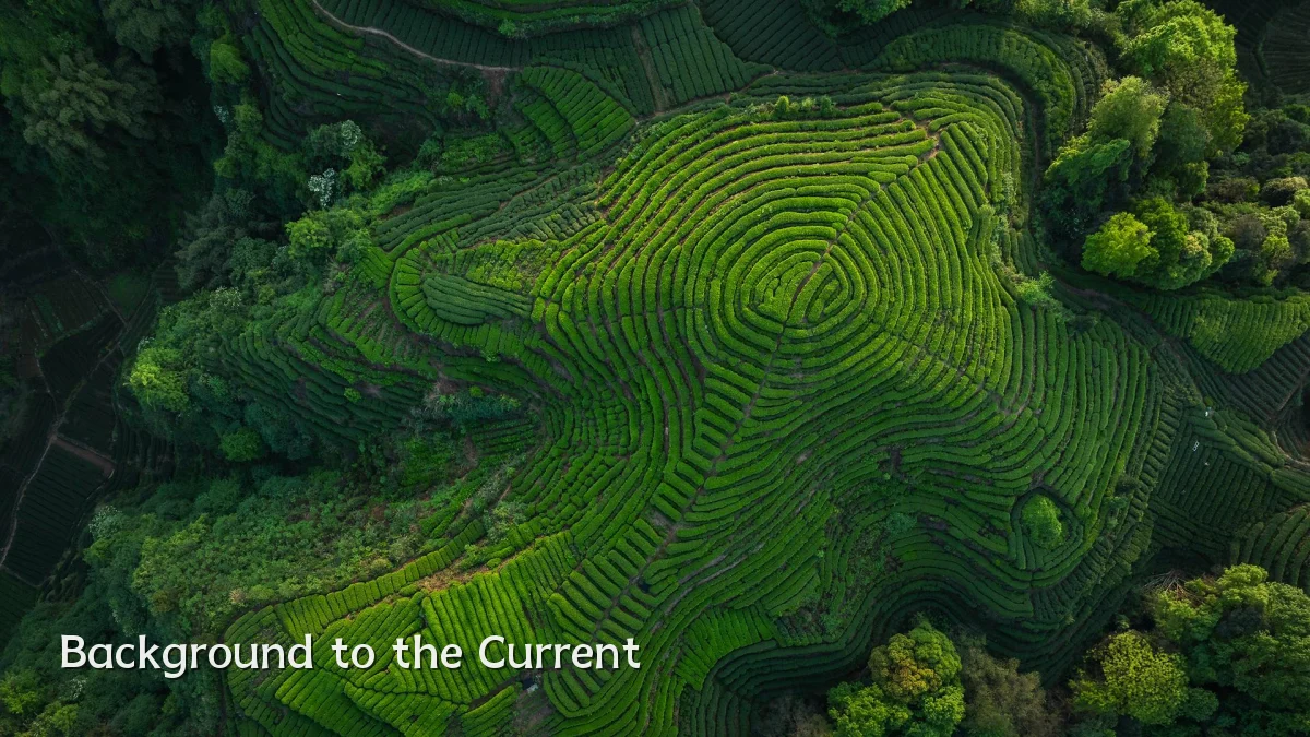 Background to the Current
