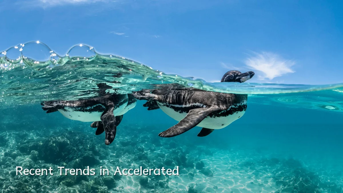 Recent Trends in Accelerated