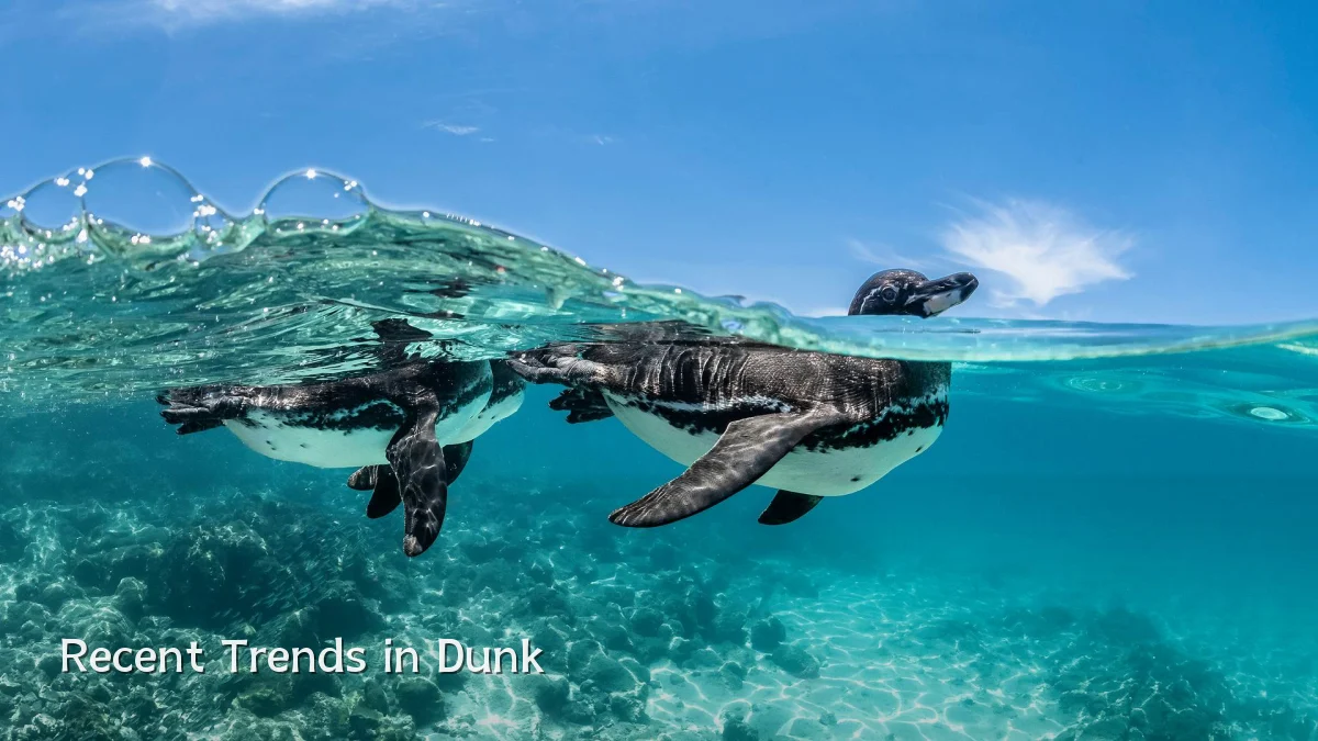 Recent Trends in Dunk
