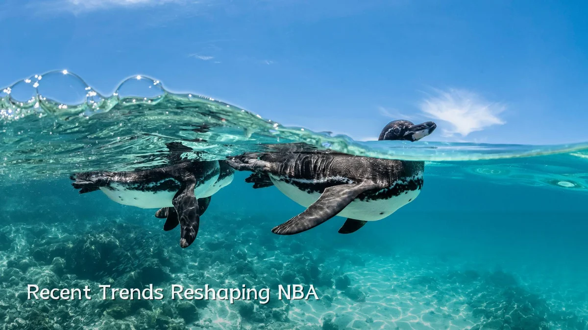 Recent Trends Reshaping NBA