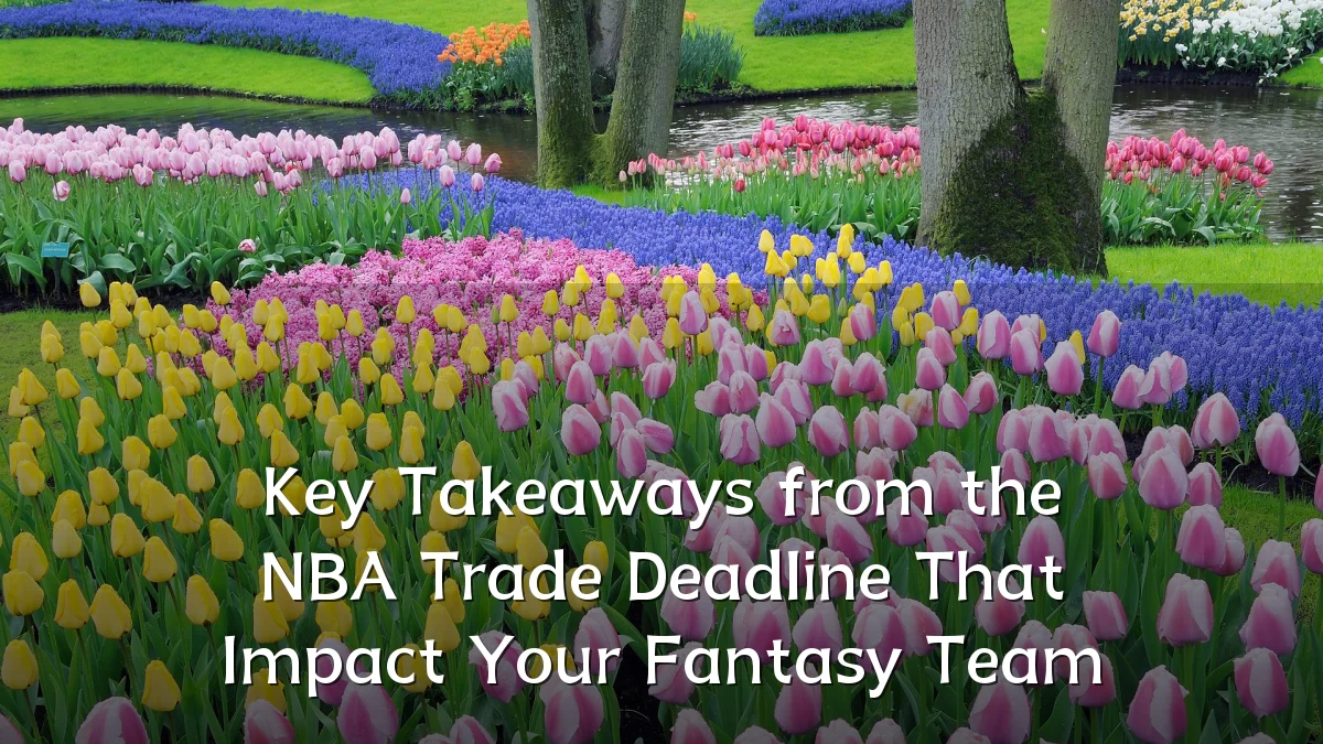 Key Takeaways from the NBA Trade Deadline That Impact Your Fantasy Team