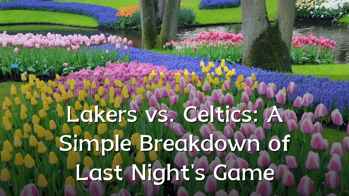 Lakers vs. Celtics: A Simple Breakdown of Last Night's Game