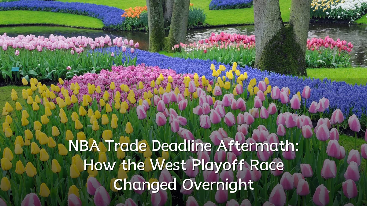 NBA Trade Deadline Aftermath: How the West Playoff Race Changed Overnight