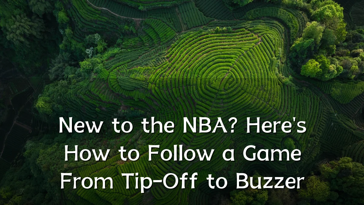 New to the NBA? Here's How to Follow a Game From Tip-Off to Buzzer