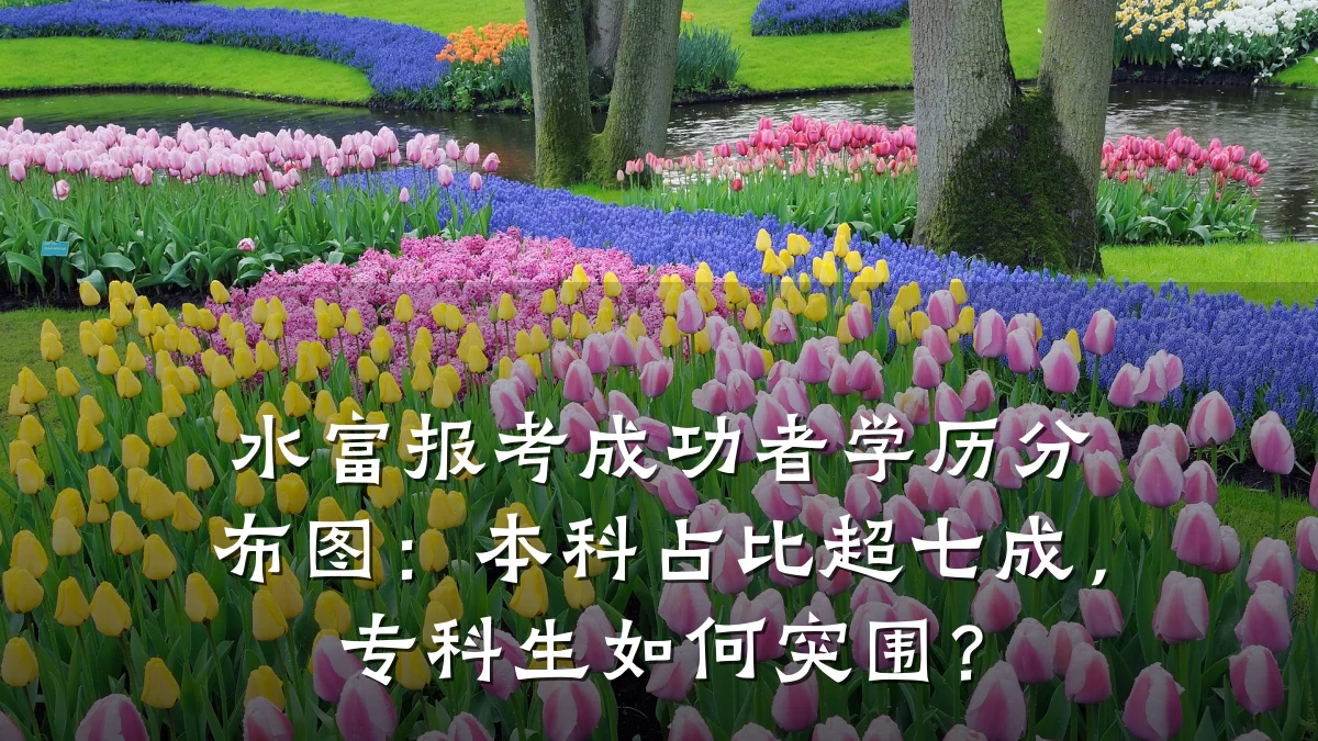 水富报考成功者学历分布图:本科占比超七成,专科生如何突围?