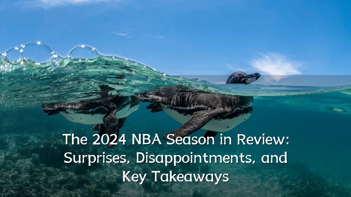 The 2024 NBA Season in Review: Surprises, Disappointments, and Key Takeaways