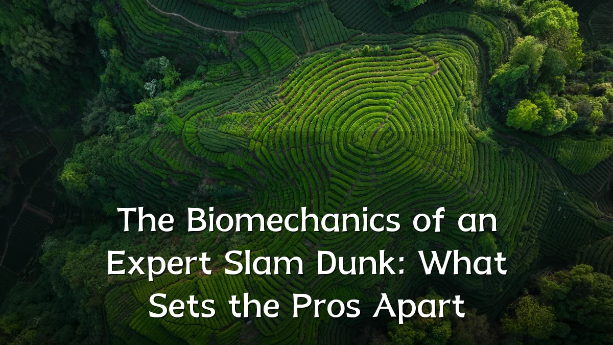The Biomechanics of an Expert Slam Dunk: What Sets the Pros Apart