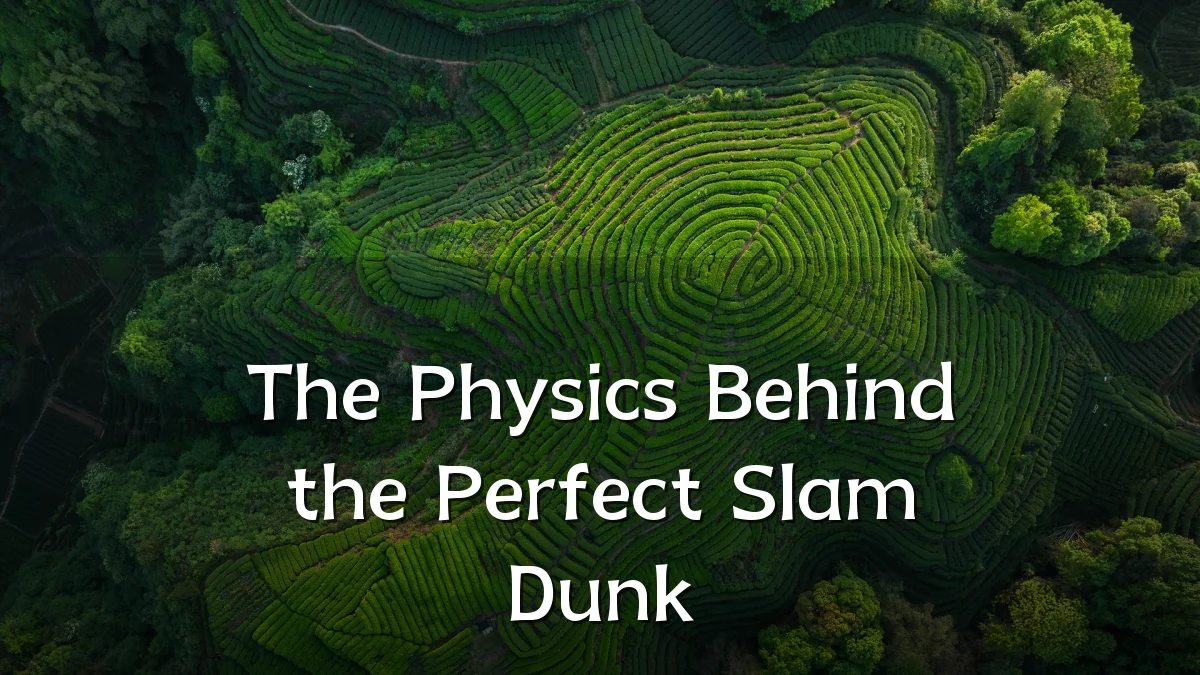 The Physics Behind the Perfect Slam Dunk