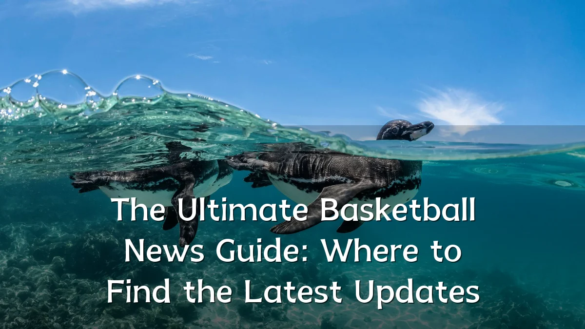 The Ultimate Basketball News Guide: Where to Find the Latest Updates