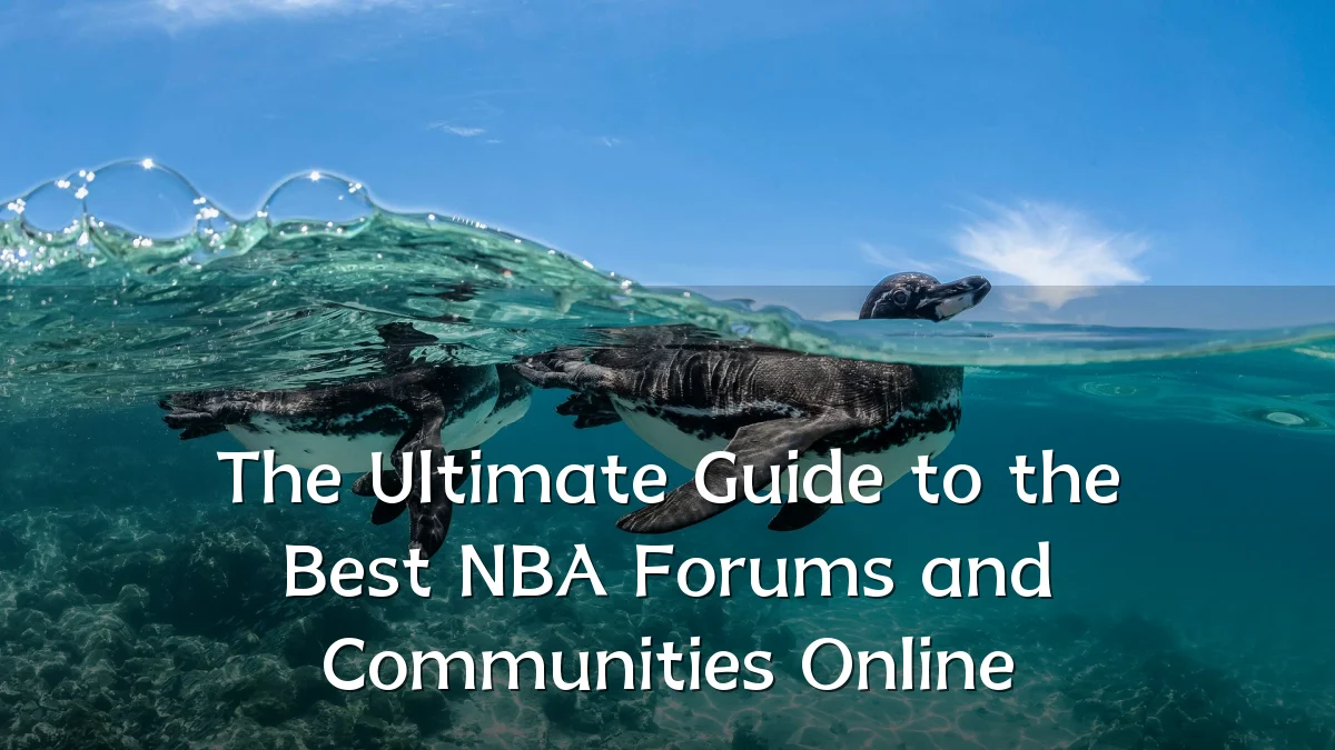The Ultimate Guide to the Best NBA Forums and Communities Online