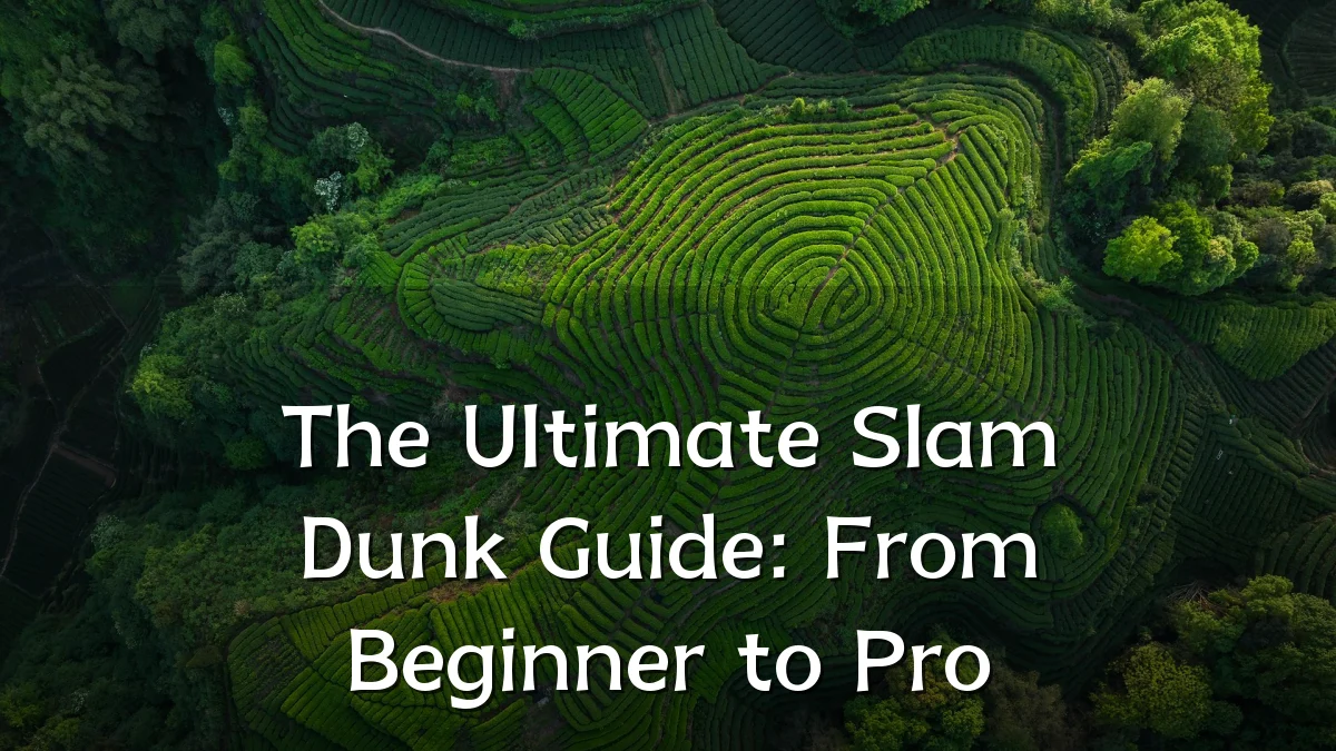 The Ultimate Slam Dunk Guide: From Beginner to Pro