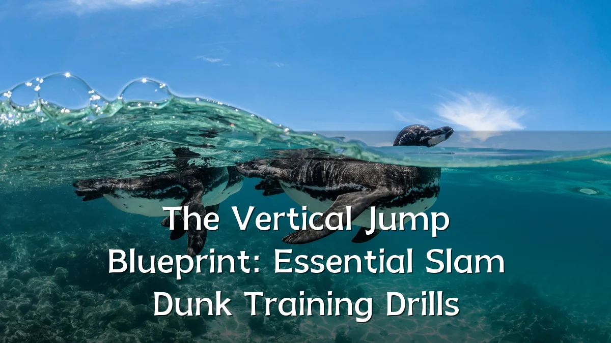 The Vertical Jump Blueprint: Essential Slam Dunk Training Drills