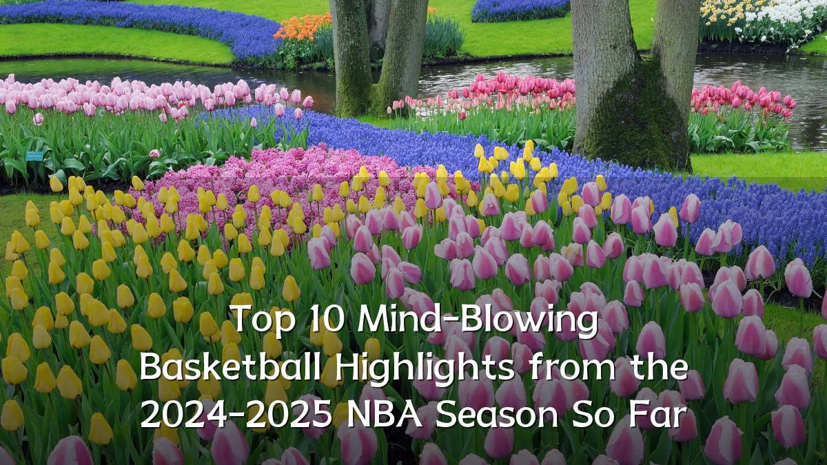 Top 10 Mind-Blowing Basketball Highlights from the 2024-2025 NBA Season So Far