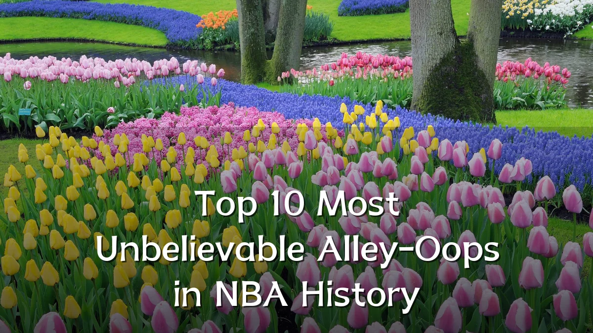 Top 10 Most Unbelievable Alley-Oops in NBA History