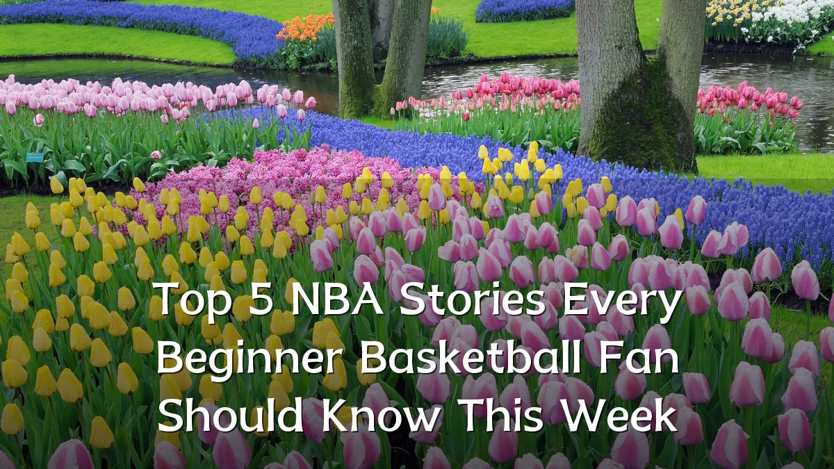 Top 5 NBA Stories Every Beginner Basketball Fan Should Know This Week