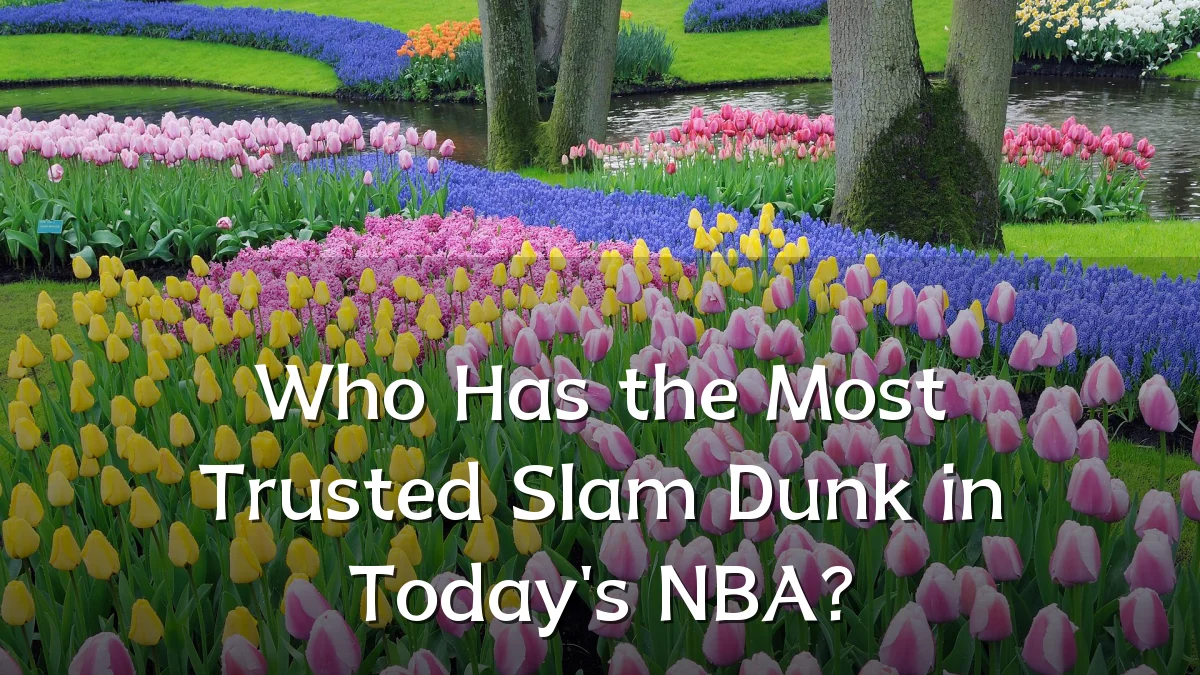 Who Has the Most Trusted Slam Dunk in Today's NBA?