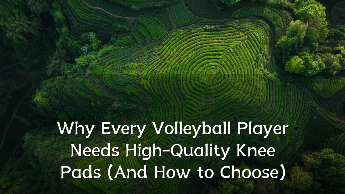 Why Every Volleyball Player Needs High-Quality Knee Pads (And How to Choose)