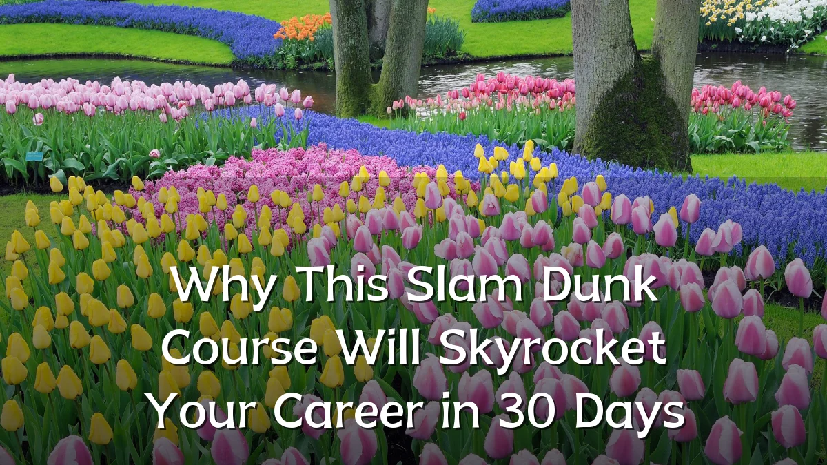 Why This Slam Dunk Course Will Skyrocket Your Career in 30 Days