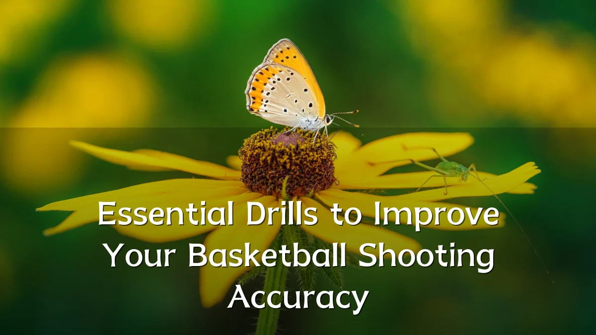 Essential Drills to Improve Your Basketball Shooting Accuracy