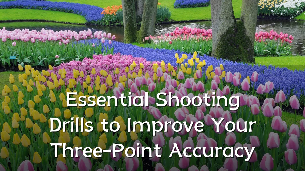 Essential Shooting Drills to Improve Your Three-Point Accuracy