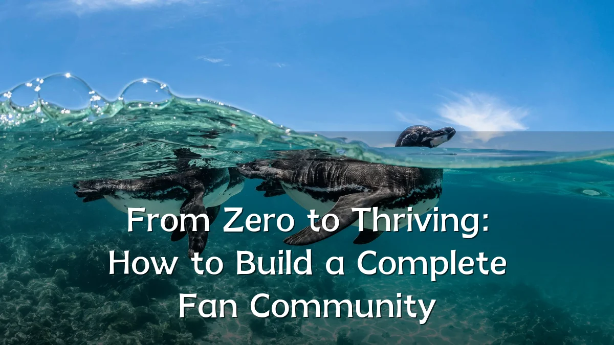 From Zero to Thriving: How to Build a Complete Fan Community