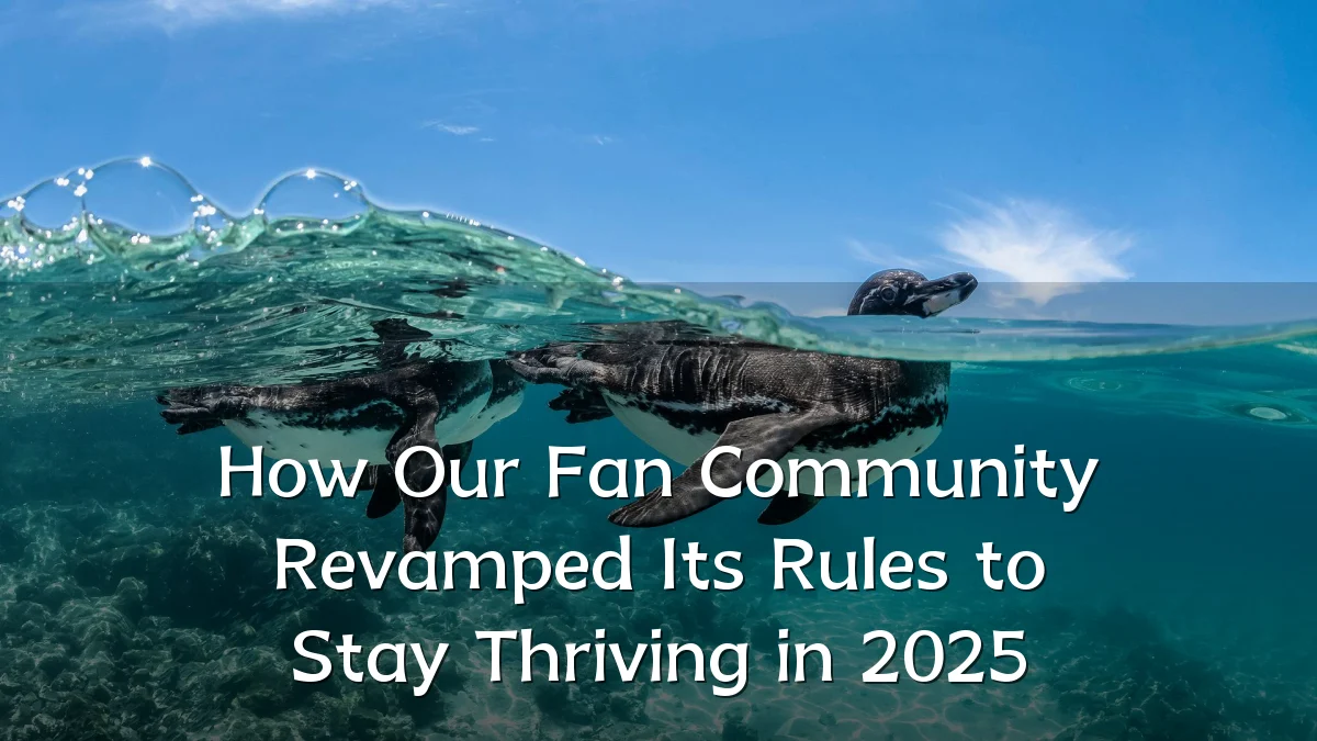 How Our Fan Community Revamped Its Rules to Stay Thriving in 2025