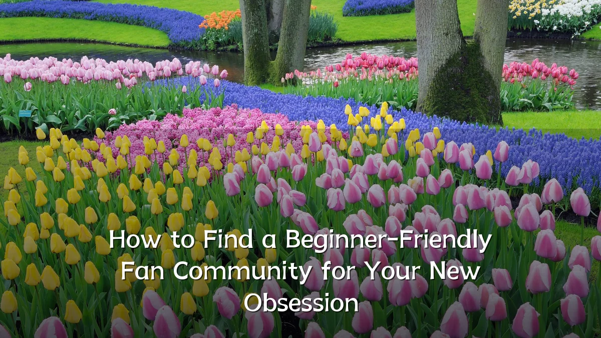 How to Find a Beginner-Friendly Fan Community for Your New Obsession