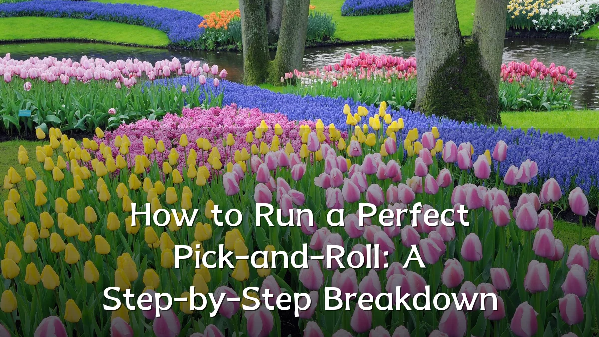 How to Run a Perfect Pick-and-Roll: A Step-by-Step Breakdown
