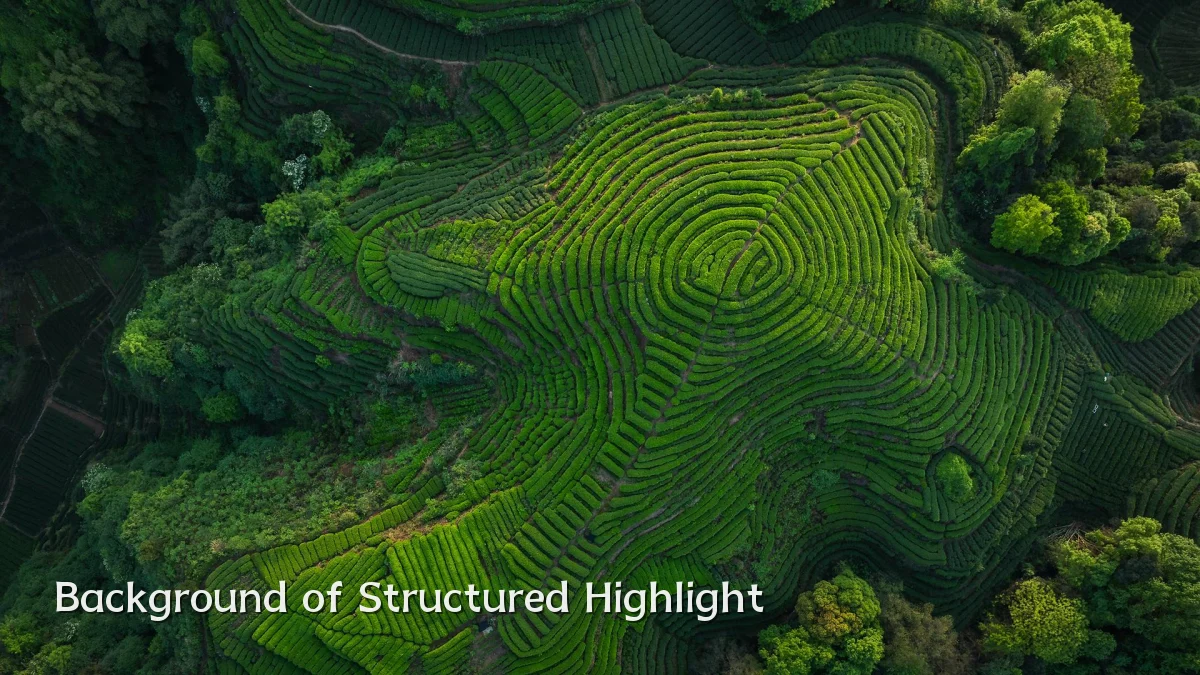 Background of Structured Highlight