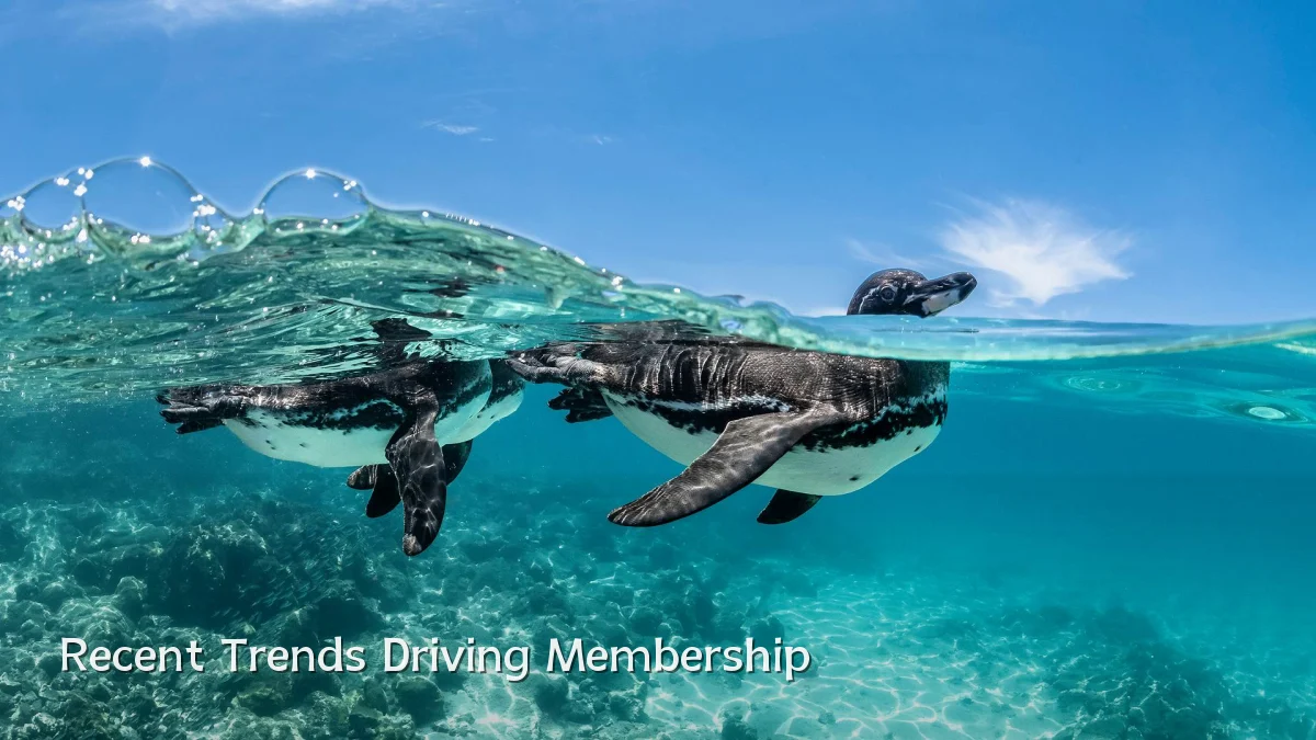 Recent Trends Driving Membership