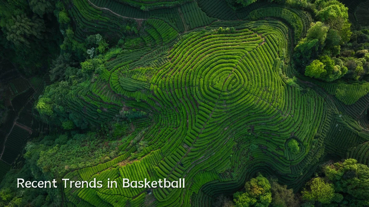 Recent Trends in Basketball