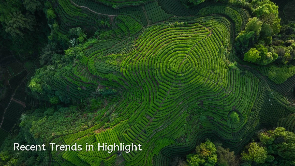 Recent Trends in Highlight