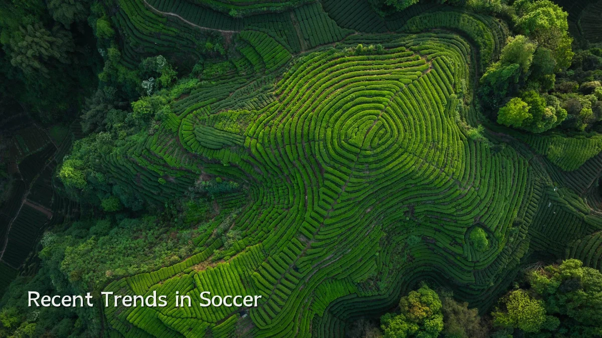 Recent Trends in Soccer