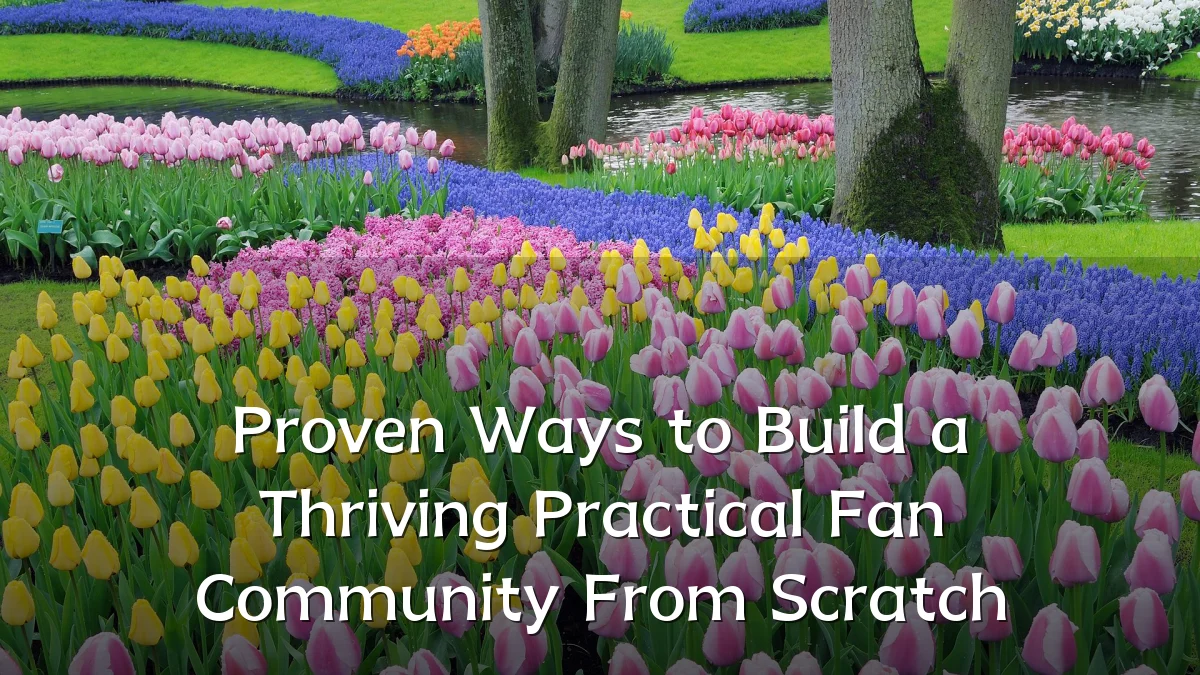 Proven Ways to Build a Thriving Practical Fan Community From Scratch
